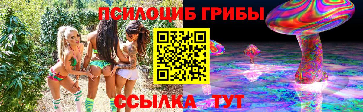 Галлюциногенные грибы GOLDEN TEACHER Каменка