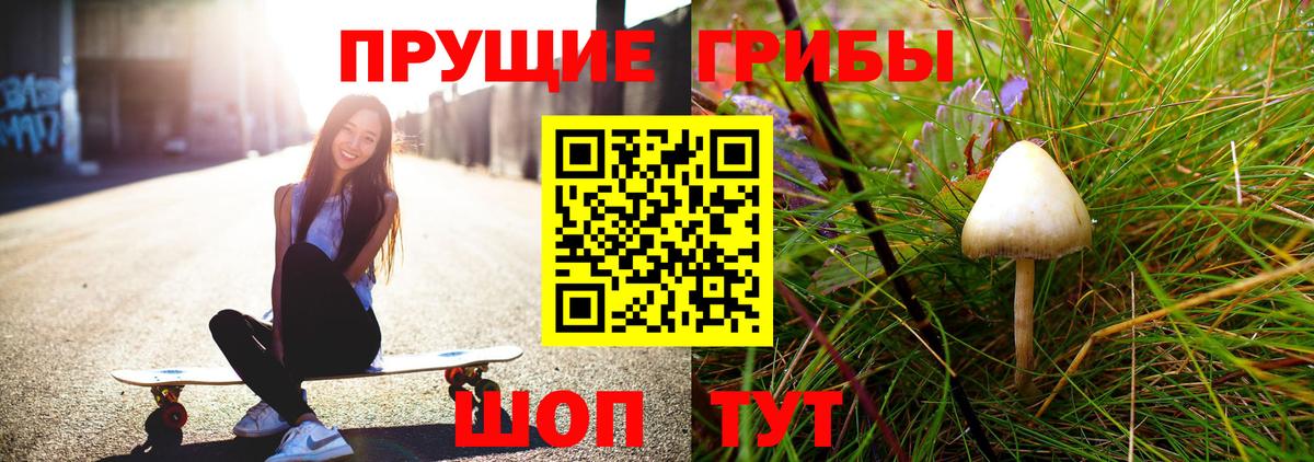 Каменка  Псилоцибиновые грибы ЛСД  Вход с VPN  Галлюциногенные грибы Cubensis 